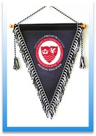 Large Promotional Pennants Image