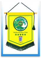 Custom Printed Sports Pennants Image