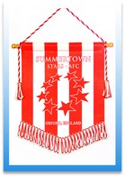 Mini Football Team Pennants Image