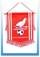 Mini Sports Team Pennants Image