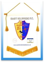 Printed football Team pennants Image