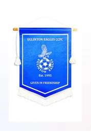 Professional custom printed personalised pennants for sports gifts
