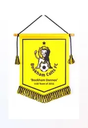 Small mini football pennants for car windows and desks