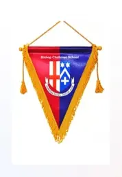 Vibrant full colour printed pennants with hanging cord