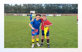 Traditional team sports pennants for league exchange